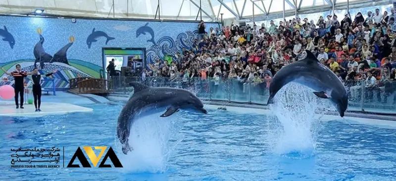 تور کیش - پارک دلفین ها